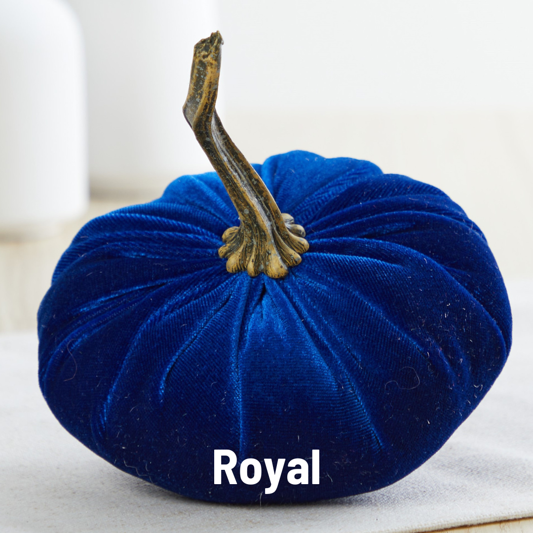 Pumpkin Small Velvet,  Fern
