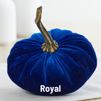 Pumpkin Small Velvet,White