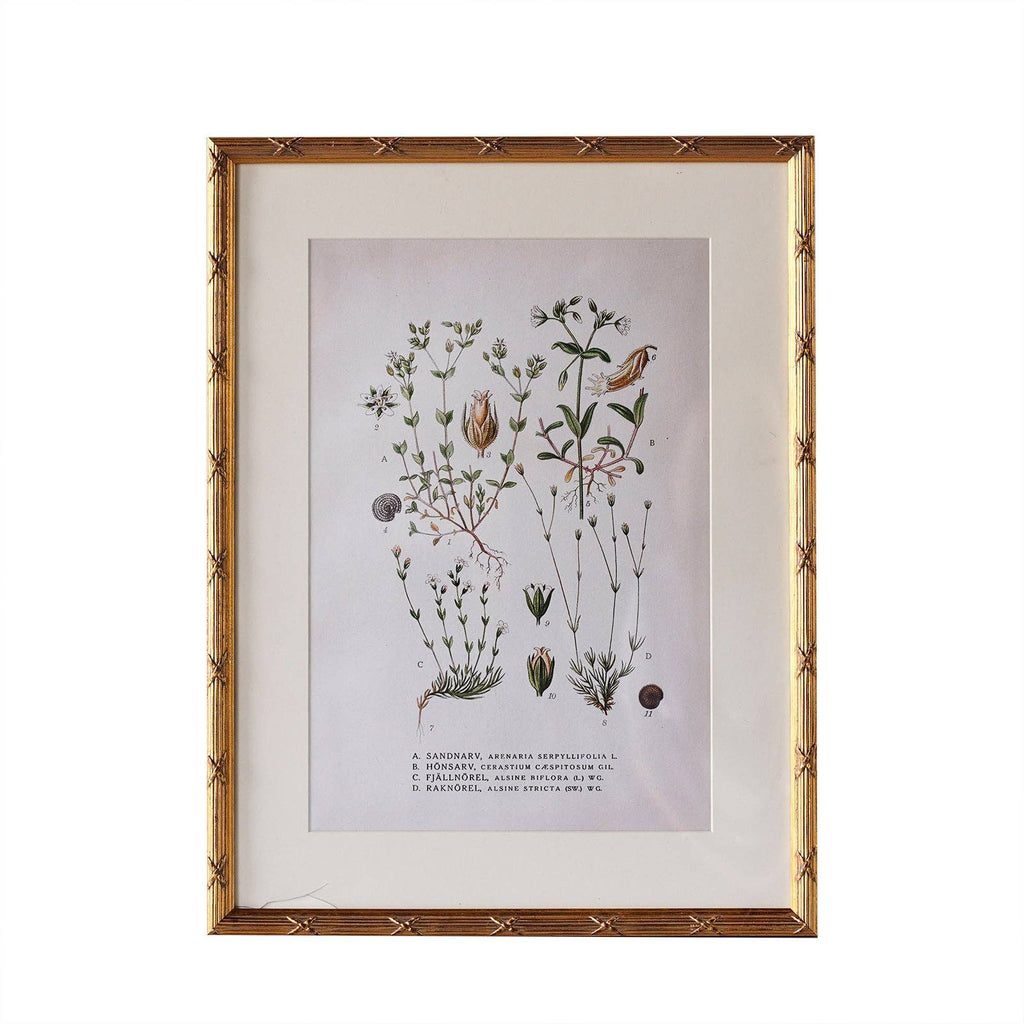 Arundel Matted Frame: 4"x6" w. Stand