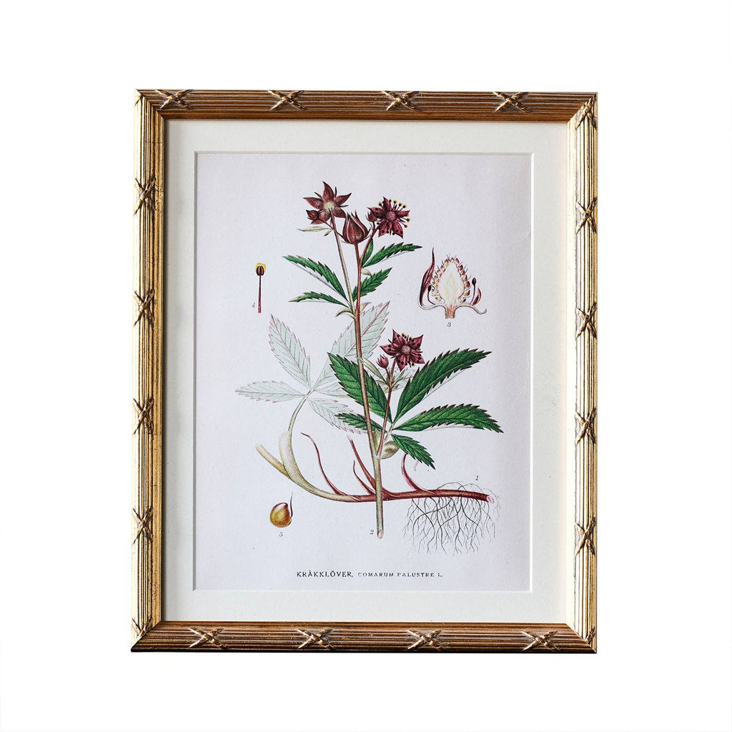 Arundel Matted Frame: 4"x6" w. Stand