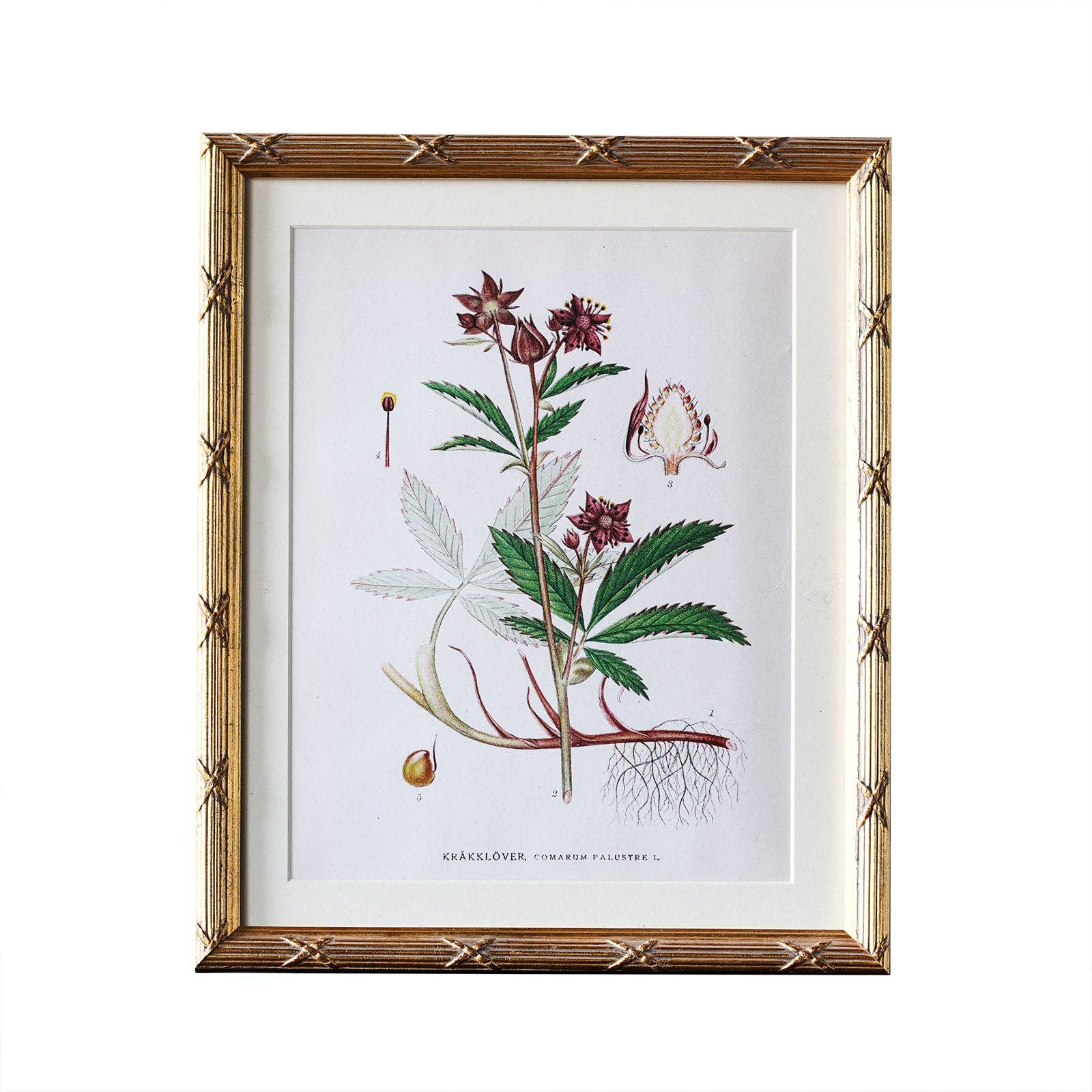 Arundel Matted Frame: 4"x6" w. Stand