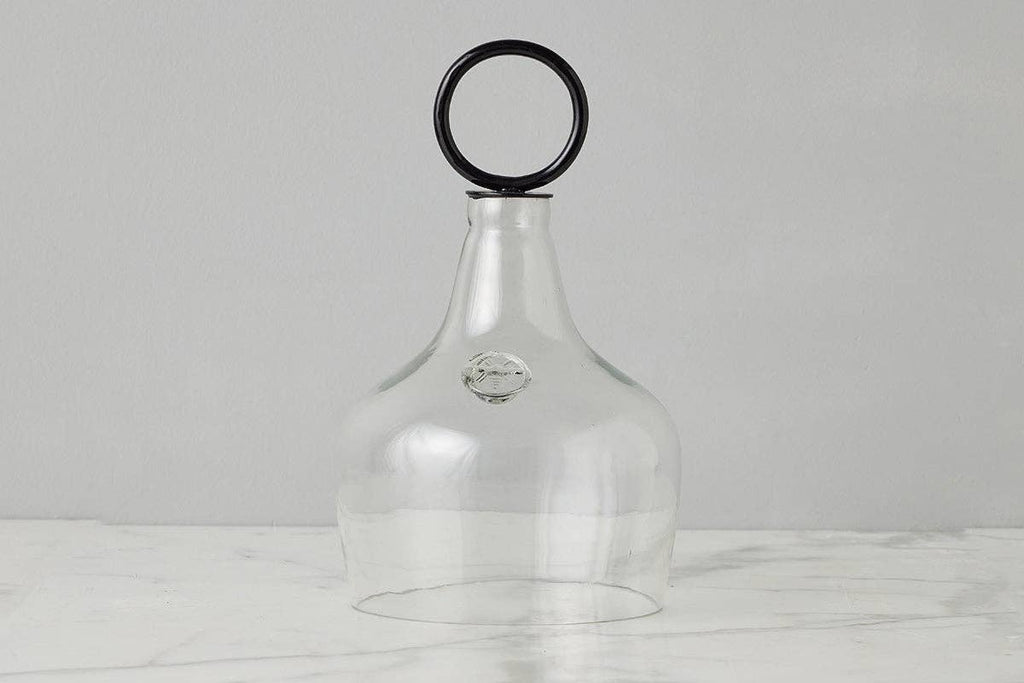 Glass Cloche Food Cover, Black Ring Handle, Small