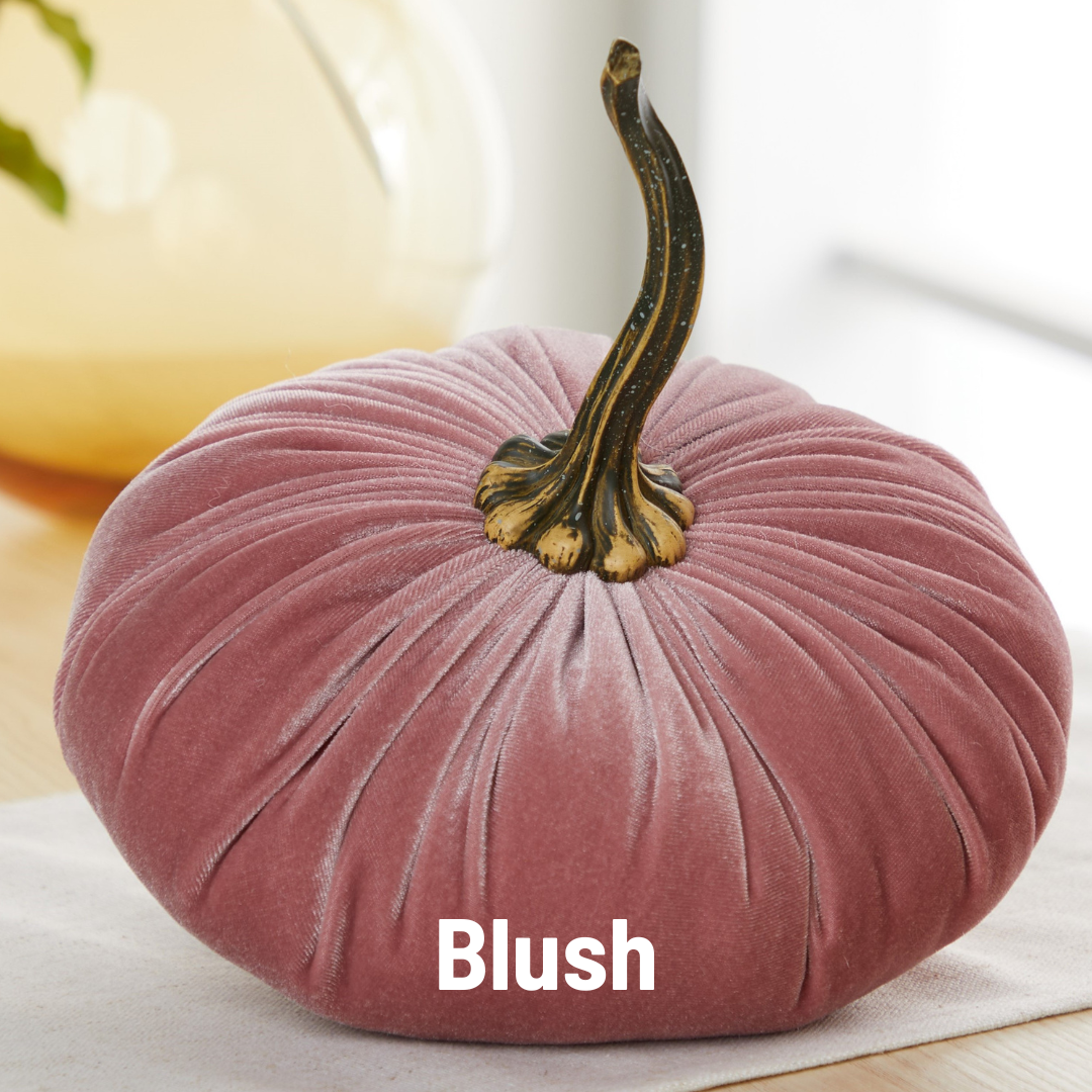 Pumpkin Extra Large Velvet, Ivory