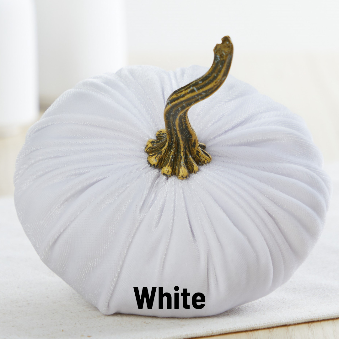 Pumpkin Small Velvet,White