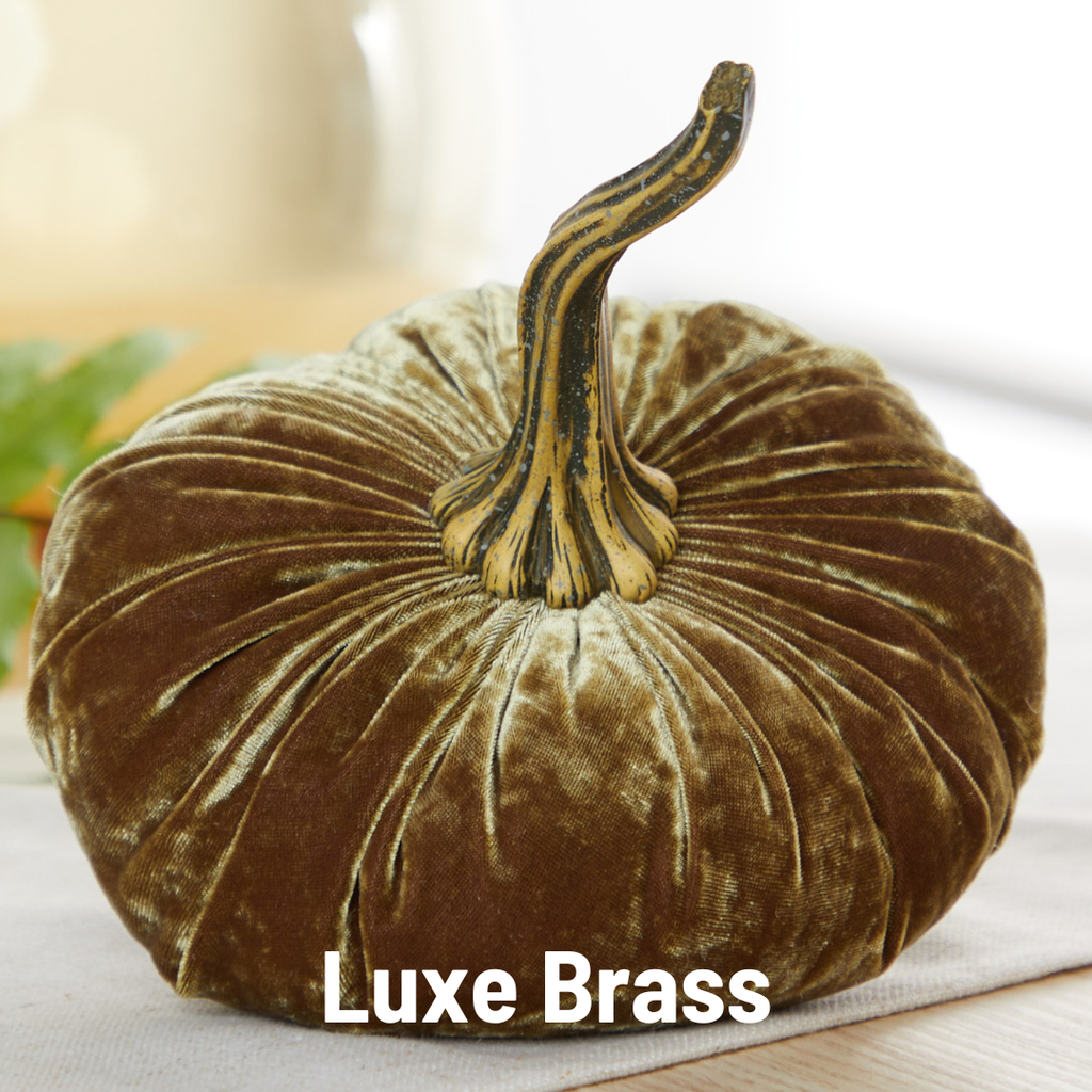 Pumpkin Large Velvet,  Fern