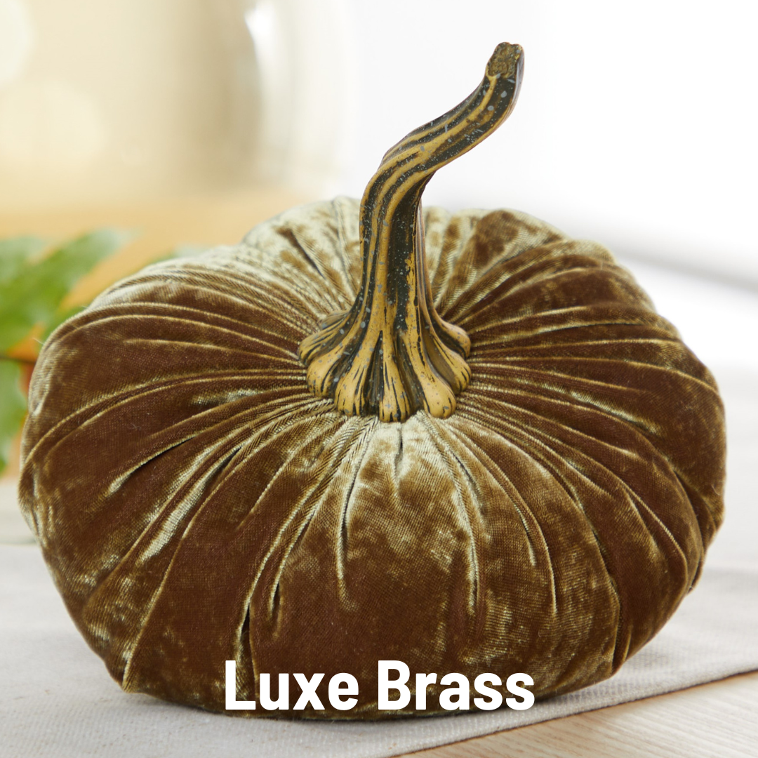 Pumpkin Large Velvet,  Fern