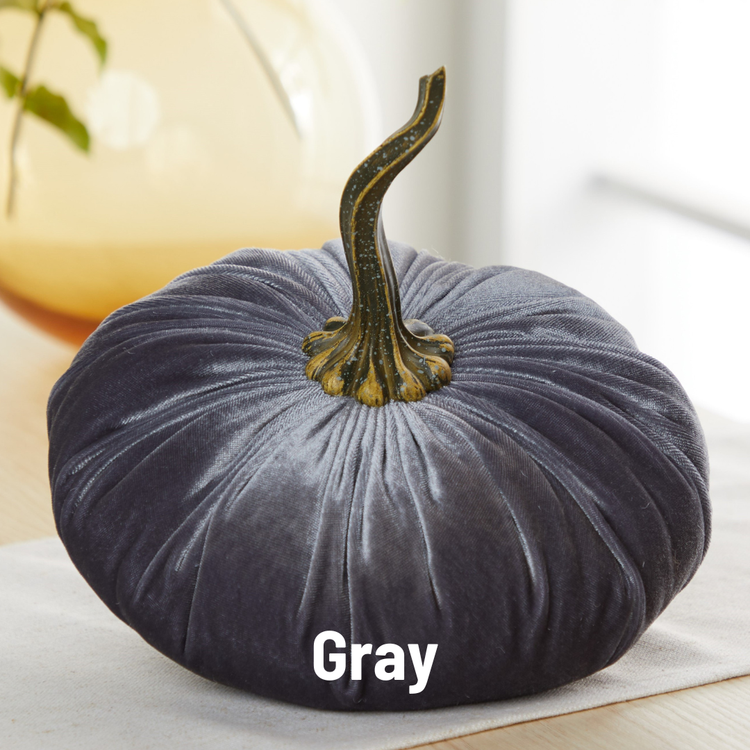 Pumpkin Extra Large Velvet,Harvest