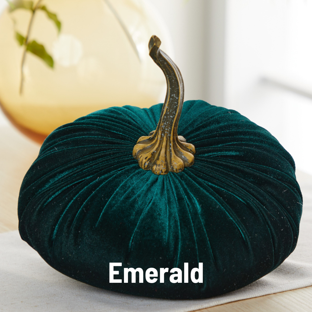 Pumpkin Extra Large Velvet, Ivory