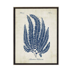 Navy Fern On Distressed Background