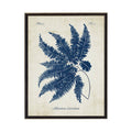 Navy Fern On Distressed Background