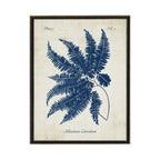 Navy Fern On Distressed Background