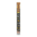 Mushrooms Pencil Terrarium, set of 5 pencils