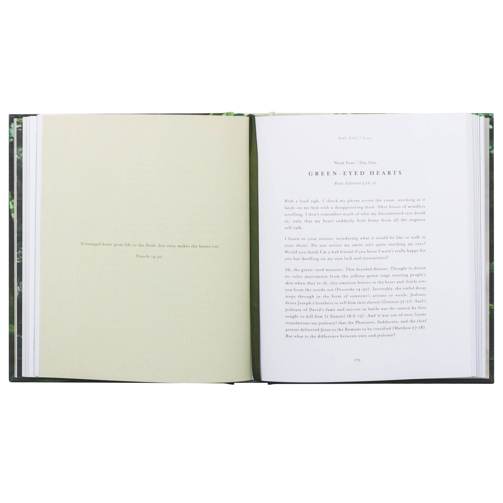 Bible Study: Unfold by Liesl Lamprecht
