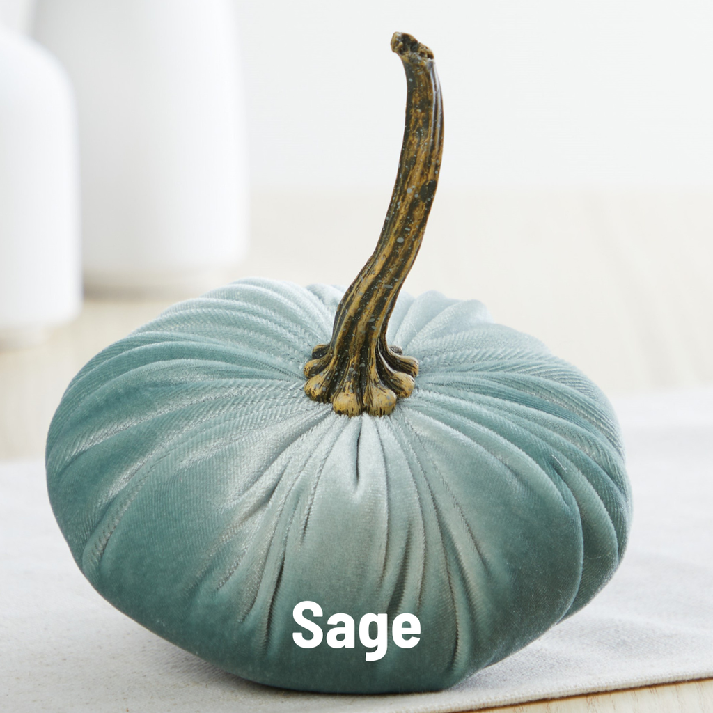 Pumpkin Small Velvet,  Fern