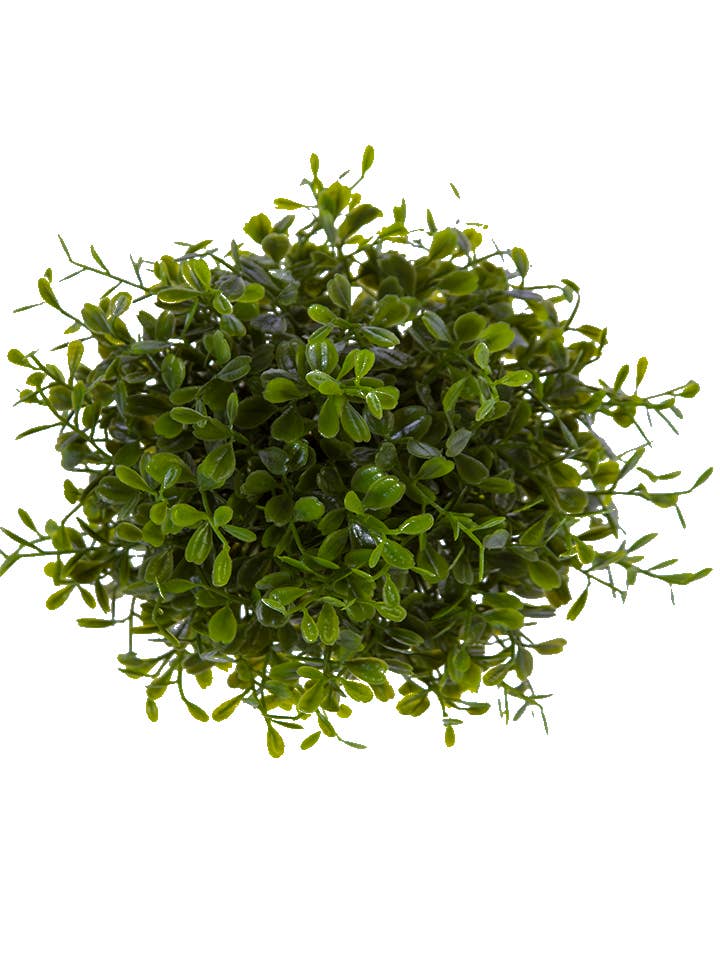 6" AIRY BOXWOOD BALL: GREEN