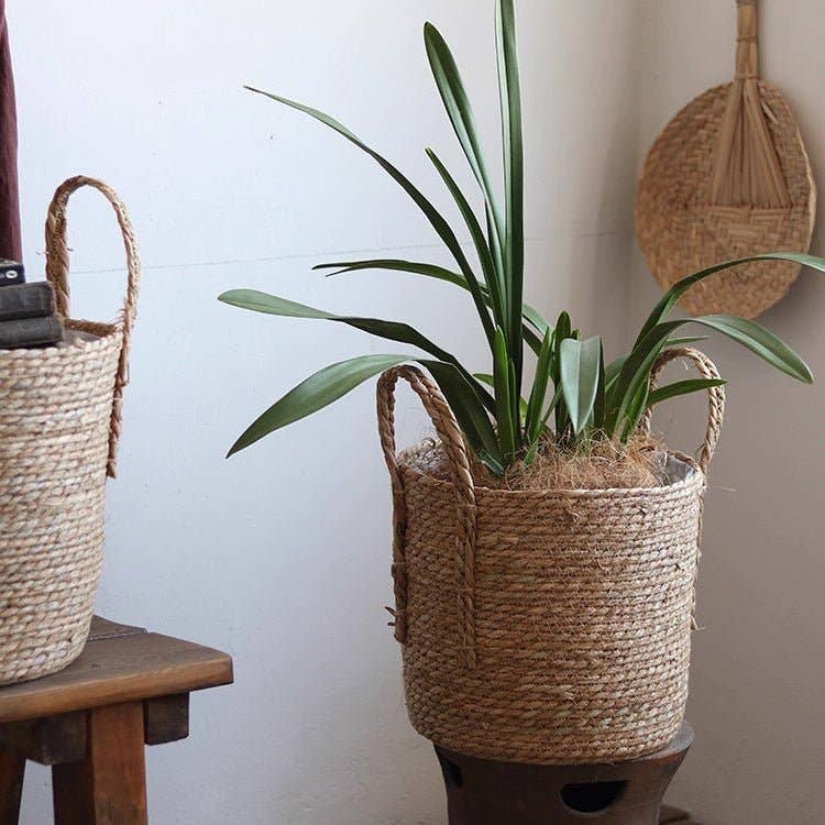 Handwoven Seagrass Basket for Plants: Medium