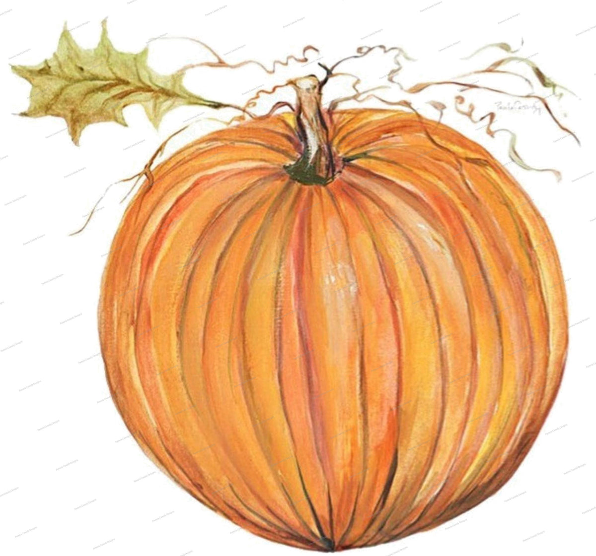 Pumpkin Field Kitchen Towel