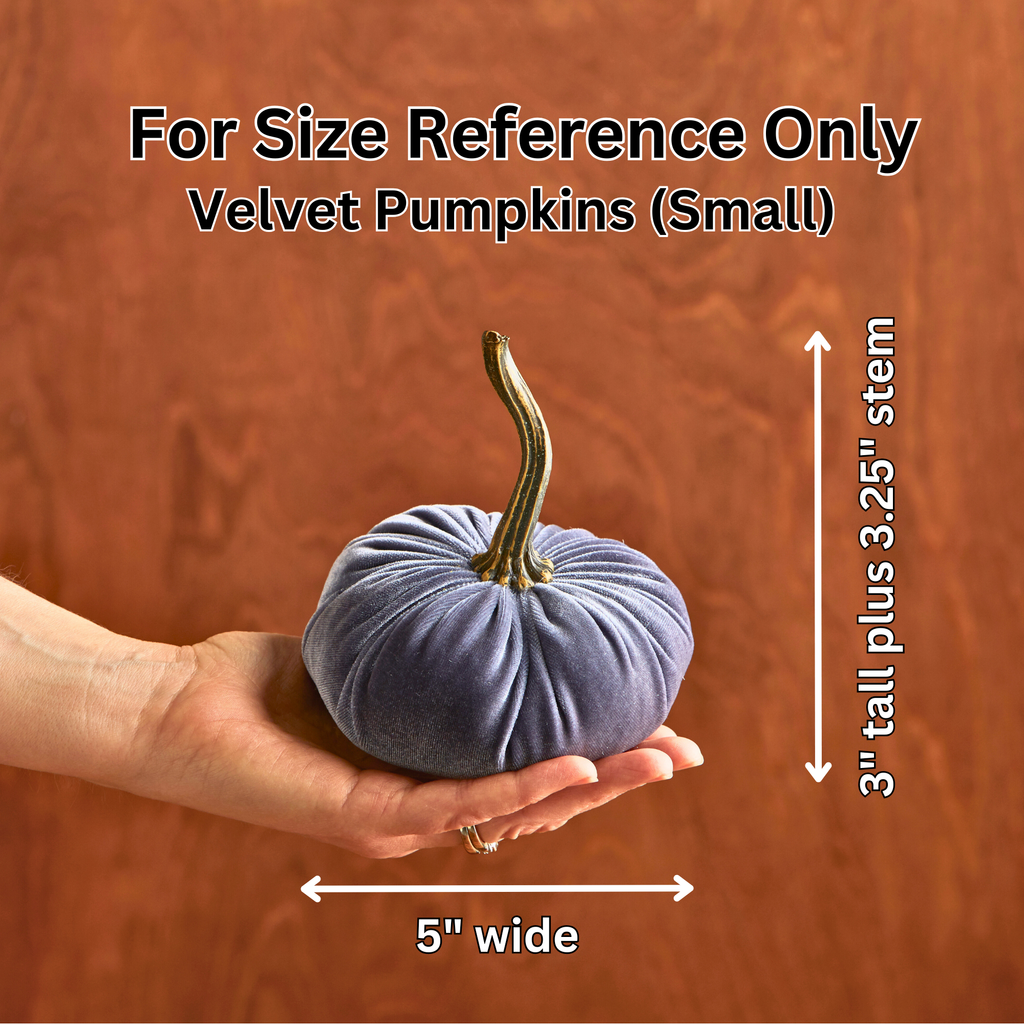 Pumpkin Small Velvet,  Fern