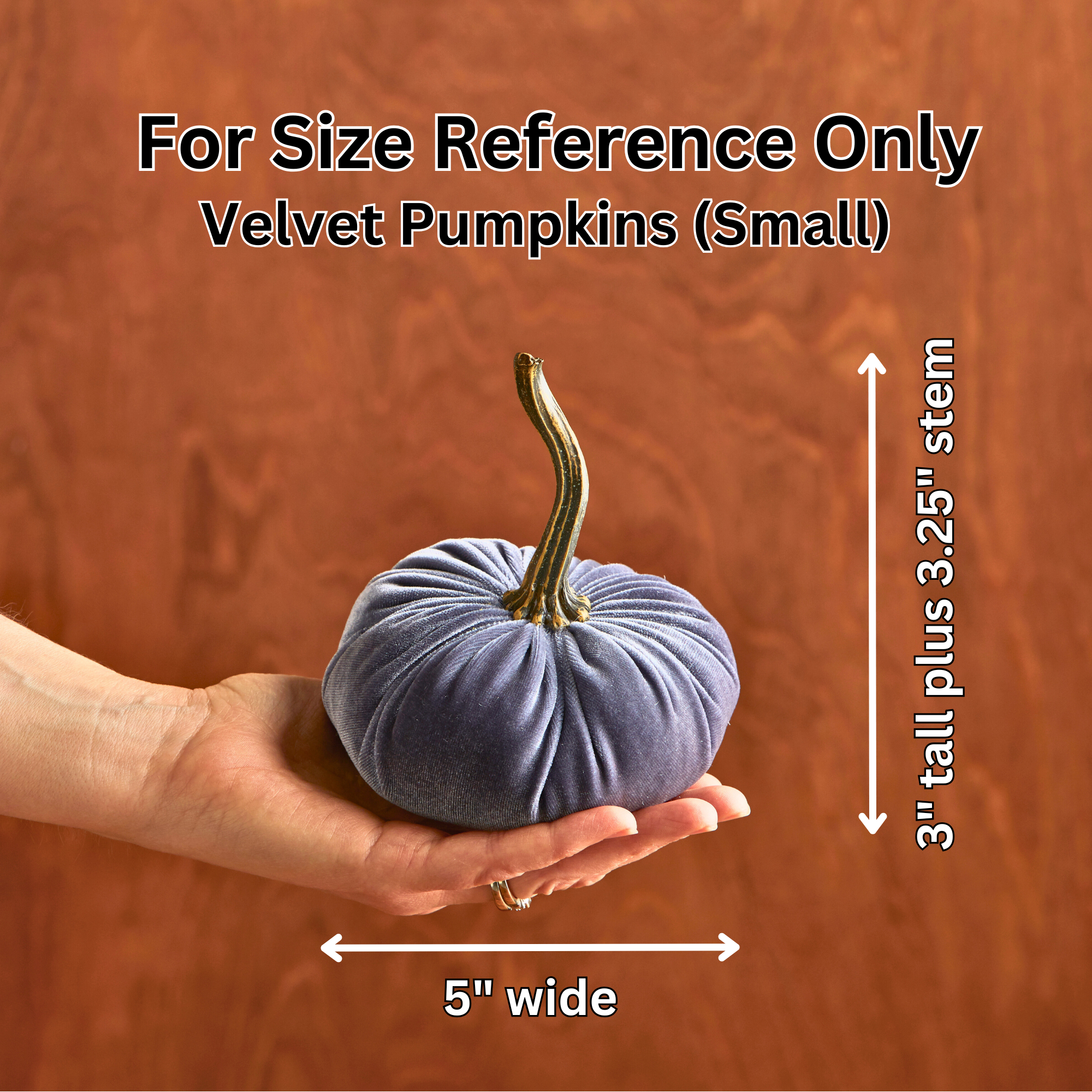 Pumpkin Small Velvet,  Fern