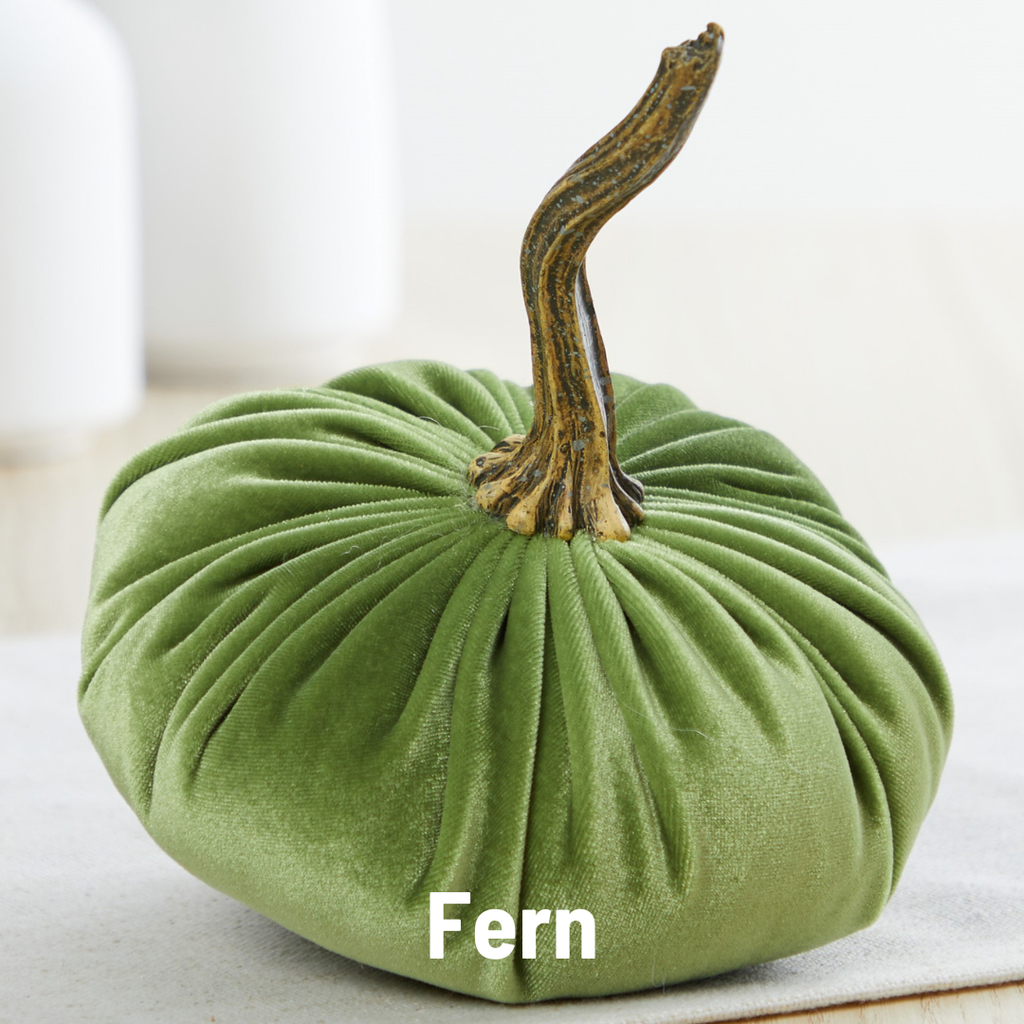 Pumpkin Small Velvet,  Fern