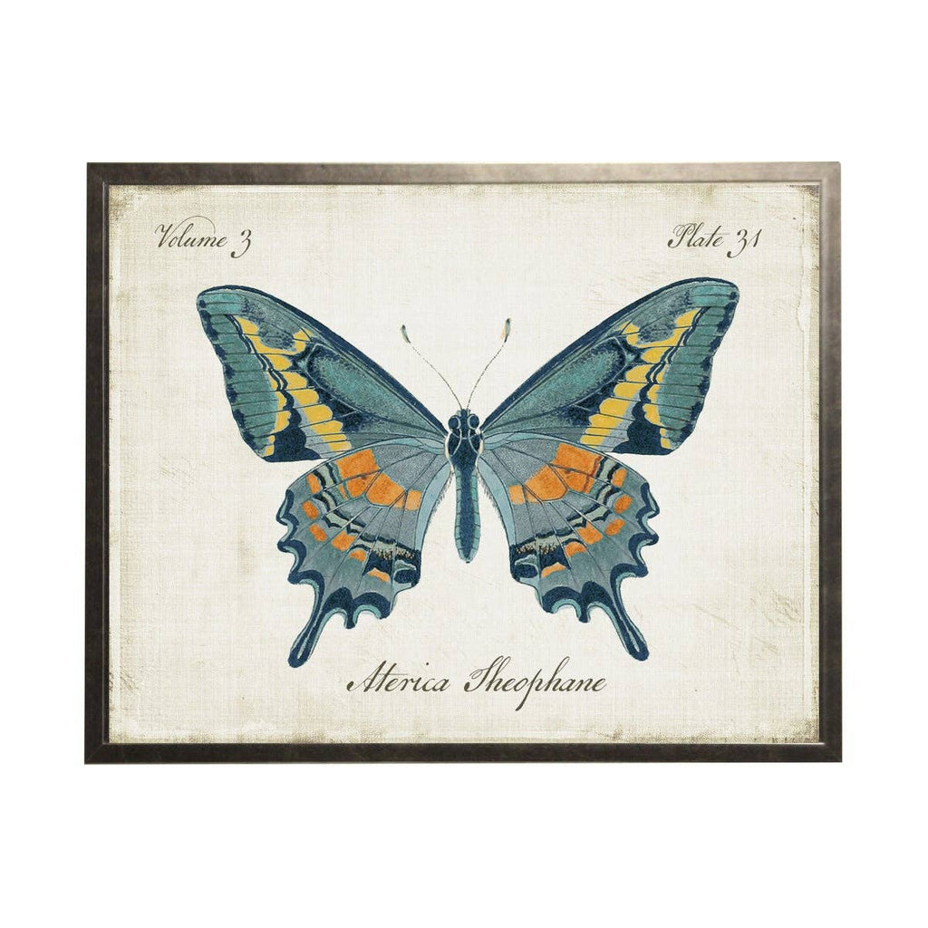 Blue, Orange And Gold Butterfly: Silver Frame