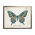 Blue, Orange And Gold Butterfly: Silver Frame