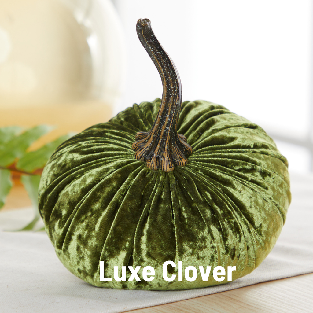 Pumpkin Large Velvet,  Fern