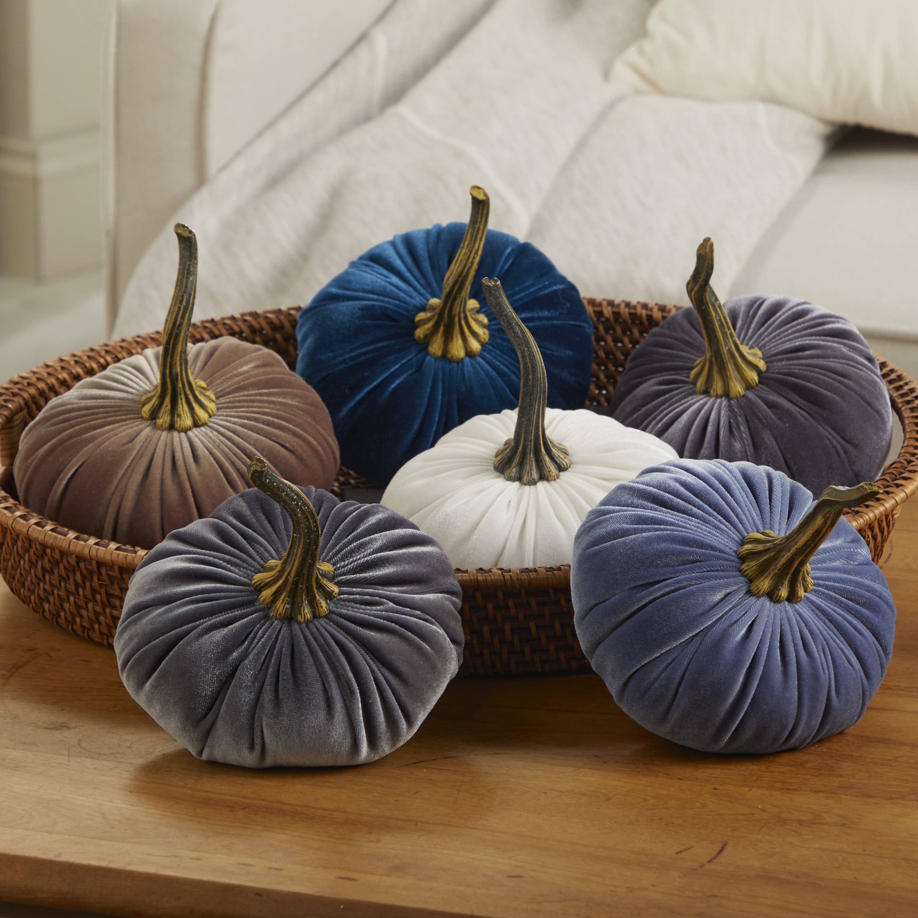 Pumpkin Large Velvet,  Fern