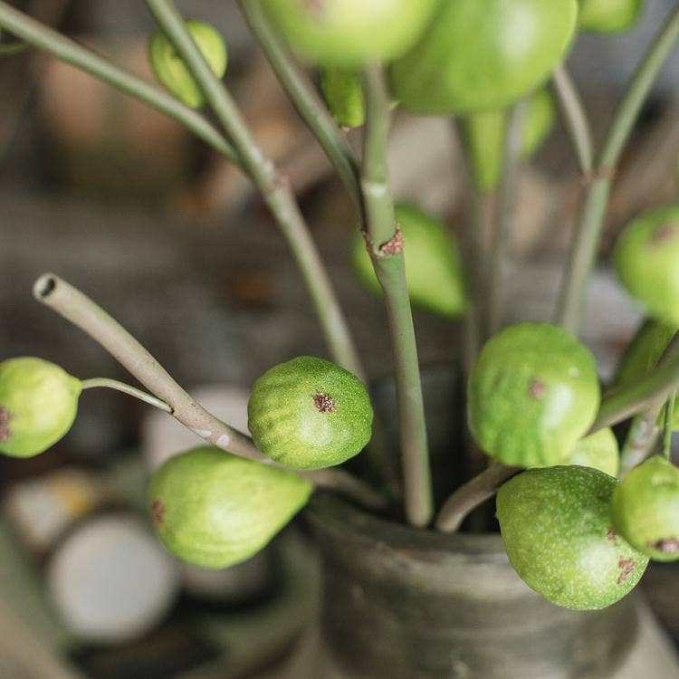 Artificial Fig Fruit Stem 30" Tall Silk Branch: Green / One Stem