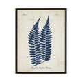 Navy Fern On Distressed Background: Black Frame 2400-35 Za / 16" X 12"