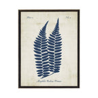 Navy Fern On Distressed Background: Black Frame 2400-35 Za / 16" X 12"