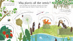 First Questions and Answers: How do flowers grow?