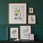 Arundel Matted Frame: 4"x6" w. Stand
