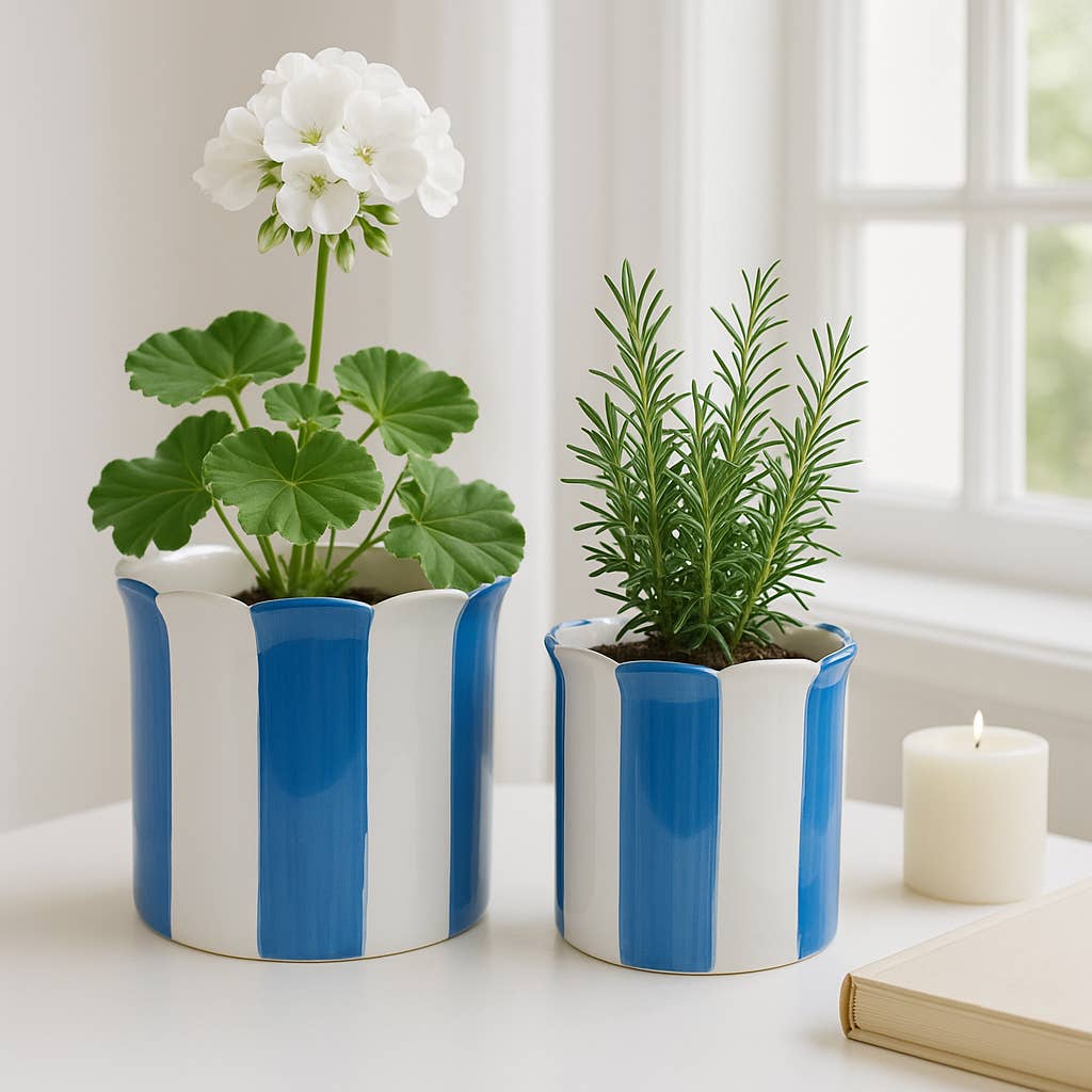 Planters  - Blue Ceramic Striped Scallop, 6"