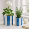 Planters  - Blue Ceramic Striped Scallop, 6"