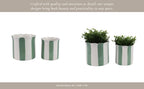 Planters  - Green/White Ceramic Striped, 6 in