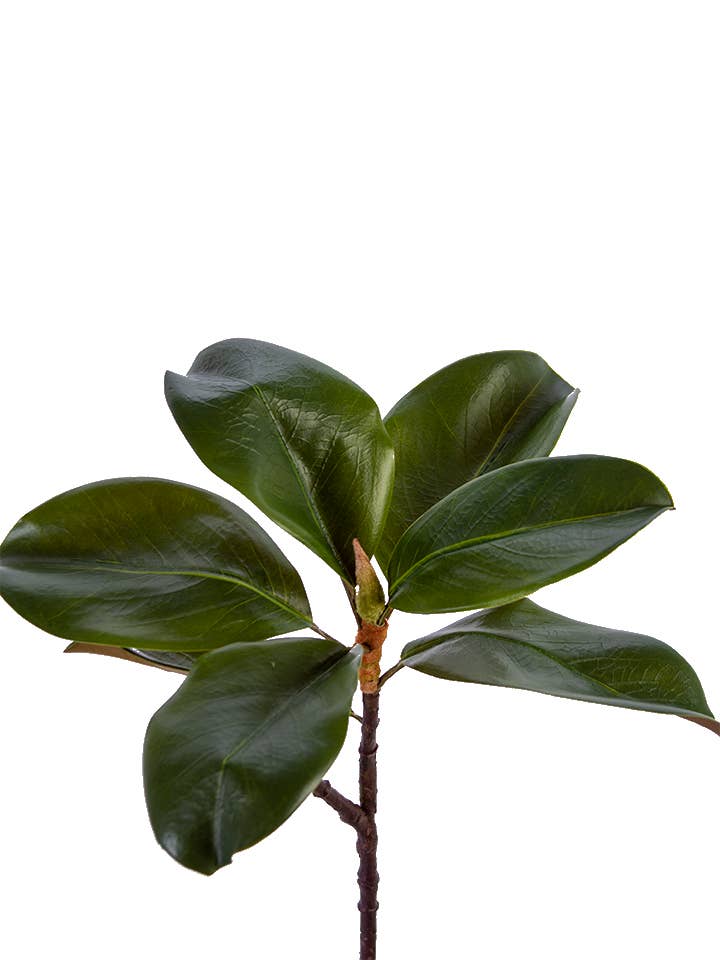 18" MAGNOLIA LEAF SPRAY: GREEN
