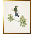 Vintage hummingbird R on a distressed background: Beaded gold frame 1315-70 / 8" X 10"