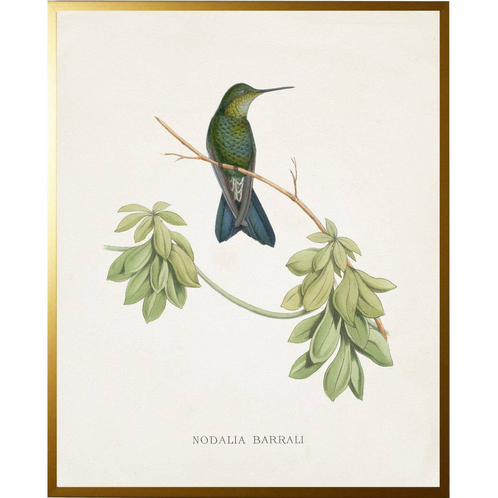 Vintage hummingbird R on a distressed background: Beaded gold frame 1315-70 / 18" X 24"