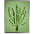 Green fern C illustration on a green distressed background: Gold Frame 2425-35 Aq / 16" X 20"