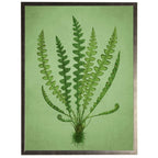Green fern C illustration on a green distressed background: Gold Frame 2425-35 Aq / 16" X 20"