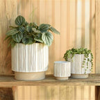 Ramos Vertical Stripe Cachepot, Stoneware - 4