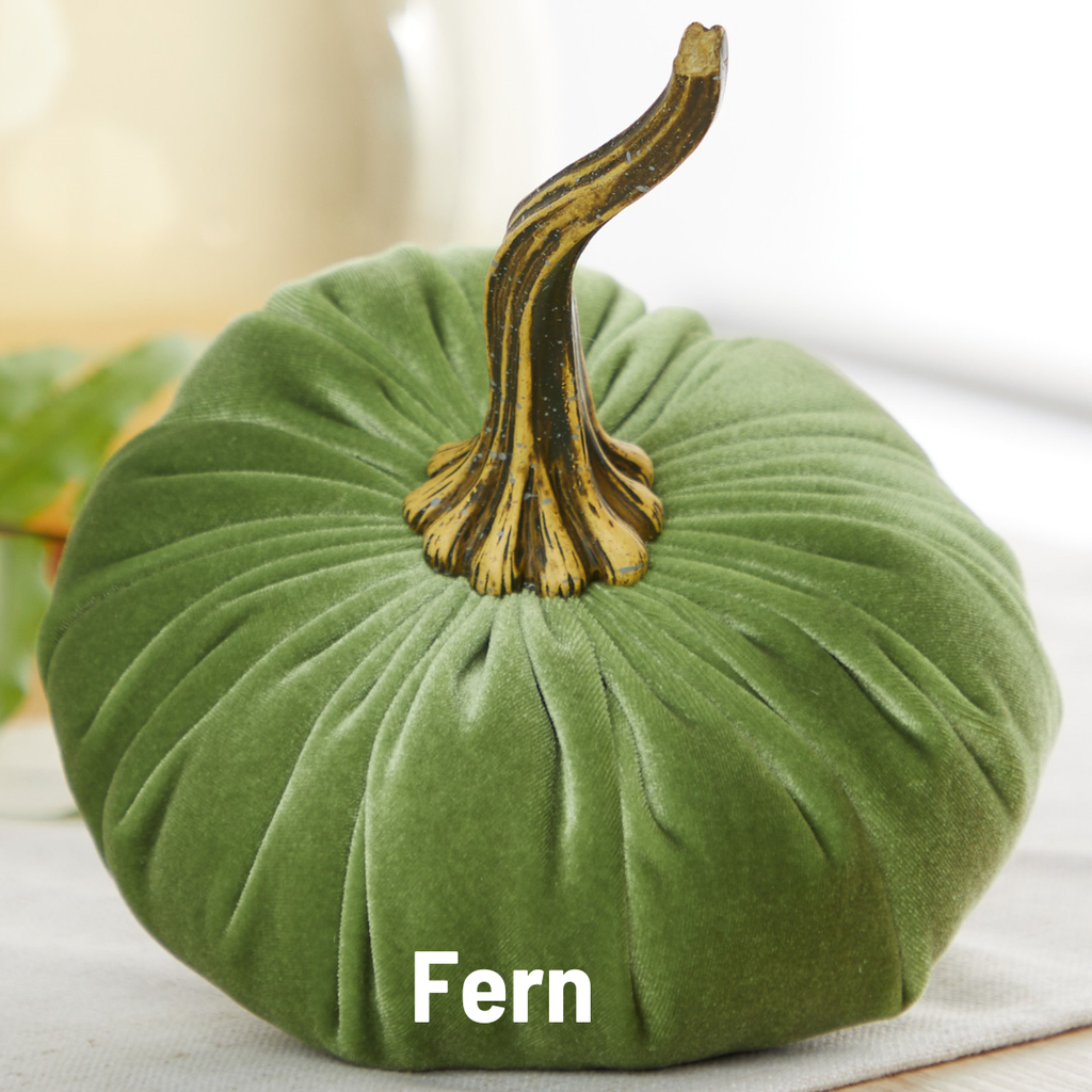 Pumpkin Large Velvet,  Fern