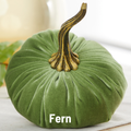 Pumpkin Large Velvet,  Fern
