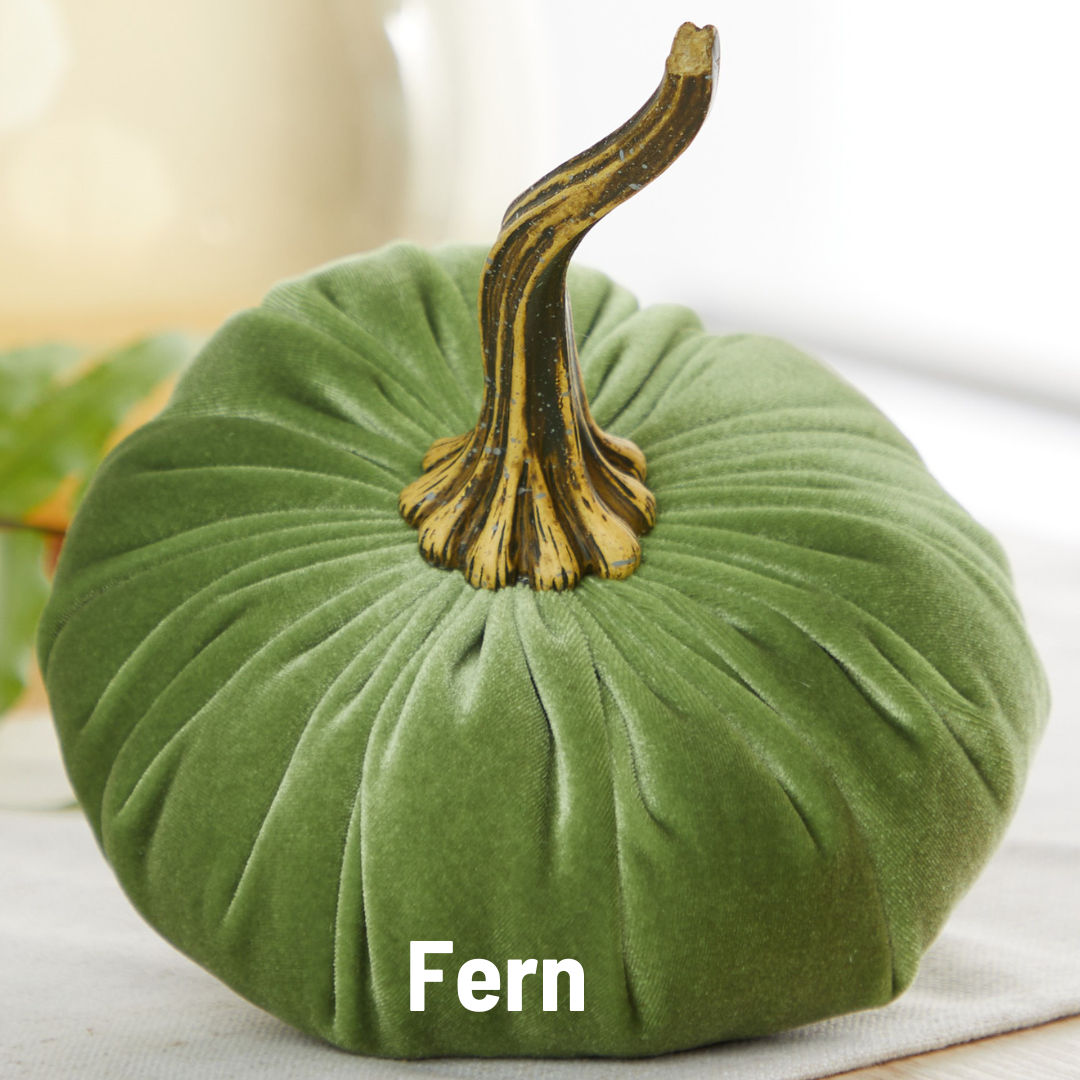 Pumpkin Large Velvet,  Fern