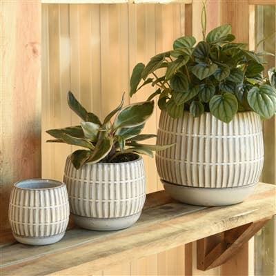 Ramos Linear Cachepot with Saucer, Stoneware - 4