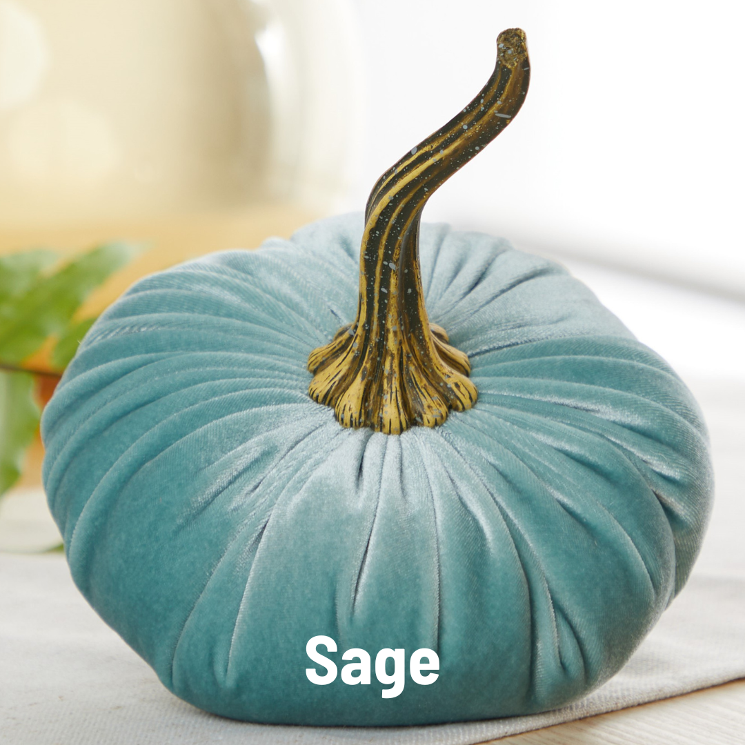 Pumpkin Large Velvet,  Fern