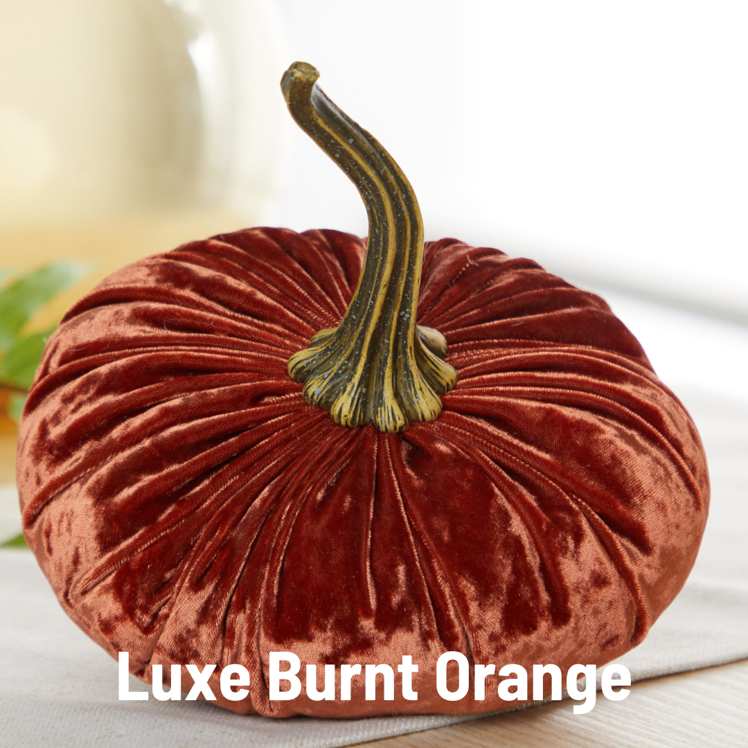 Pumpkin Large Velvet,  Fern