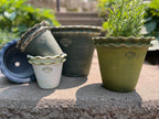 Galena Garden Pot White 8"