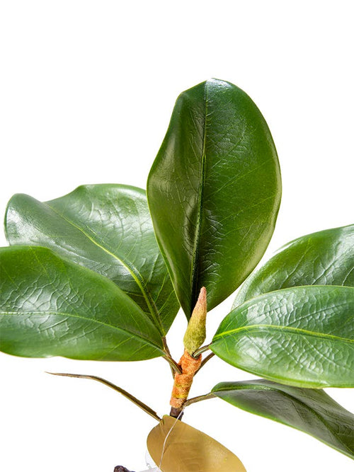 18" MAGNOLIA LEAF SPRAY: GREEN